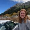 sydneymcclel330
